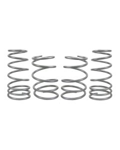 WL Performance Springs