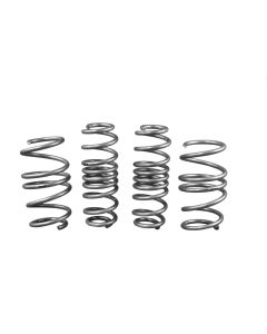 WL Performance Springs