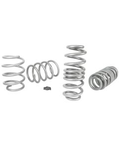 WL Performance Springs