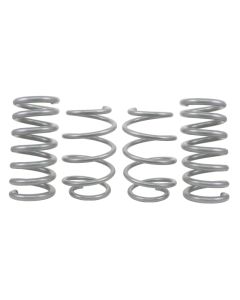 WL Performance Springs