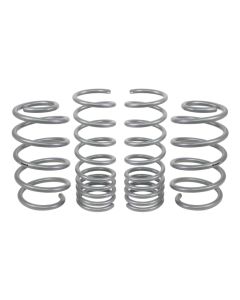 WL Performance Springs