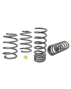 WL Performance Springs